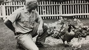 Meet 'Father Goose': The man who brought geese to Fort Collins