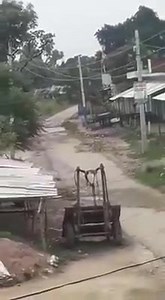 8.7M views · 27K reactions | हाथी हुआ जब पागल, तो इस कदर मचाया हंगामा | Special Coverage News | Facebook