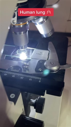 #organ #pathology #anatomy #fyp human lung under the microscope