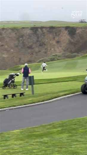 "Yoink" a flock of seagulls had fun with golfers . | The Columbus Dispatch