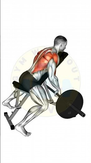 Best Back Workout Routine | Lats, Traps & Thickness