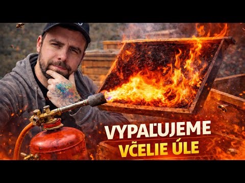 Ako robím základnú prevenciu v úľoch pred sezónou 🐝