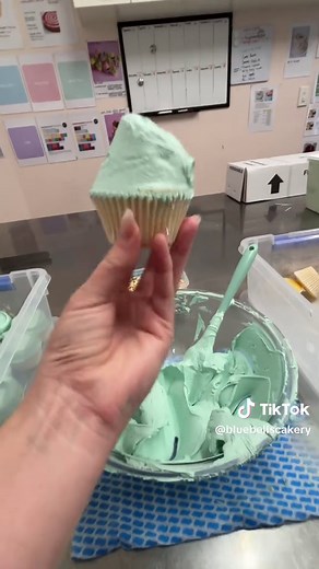 POV: Making Bluebells Cakery Cupcakes in NZ