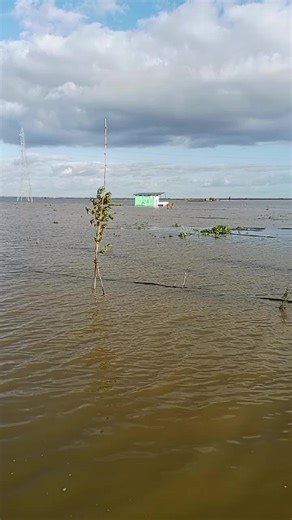 شعر عن بلجيكا وفرنسا وألمانيا وإسبانيا