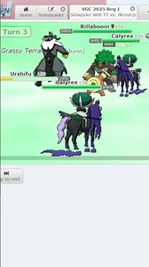 SHADOW RIDER CALYREX in Pokemon VGC