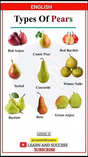 Learn English Vocabulary - Types of Pears 🍐 | English Speaking Practice | Learn and Success