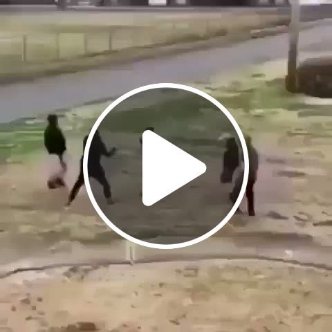 He started to dance during the fight #fightcam #fight - NewsBreak