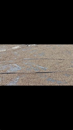 Coffee beans #fyp #fypp #foryoupage❤️❤️ #coffee #coffeetiktok