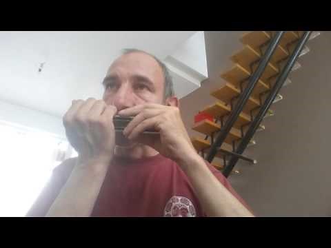 Extrait de musique du film "Jean de Florette" à l' harmonica.