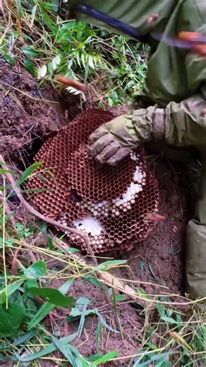 Cool working 😃😀 | Udvi