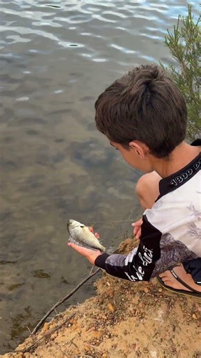 Good bream in the Frankland river Walpole #diawa #fishing #breamfishing #tackletactics