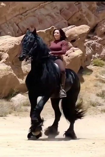 #Shorts - Riding Lovers - HD