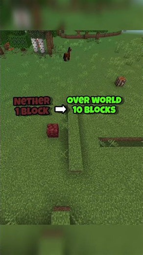 Minecraft's FASTEST Travel Method!