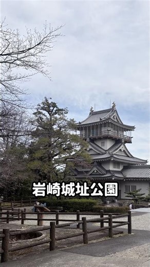 [Iwasaki Castle Ruins Park] What's the cherry blossom situation? It's still too early for the spe...