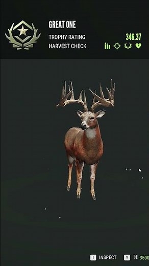 The Most Beautiful Great One in Call of the Wild!