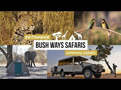 Best Mobile Safari in Botswana? Chobe | Moremi | Khwai | Okavango Highlights w/ Bushways