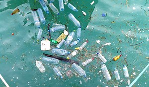 Busted! Florida spring breakers caught on camera dumping loads of trash into ocean (video)