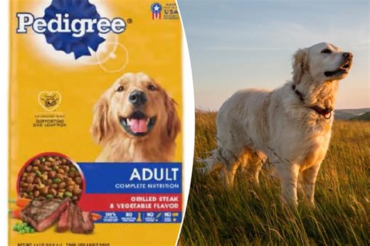 Pedigree dog food recalled because it may contain metal pieces: FDA