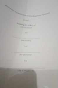 Draft a Memorandum of Understanding for Work Experience Placeme... | Filo