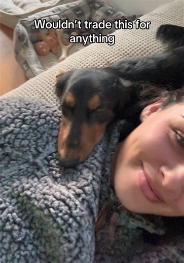 He’s my little bestfriend #furbaby #bestfriend #dachshund #dog #fyp