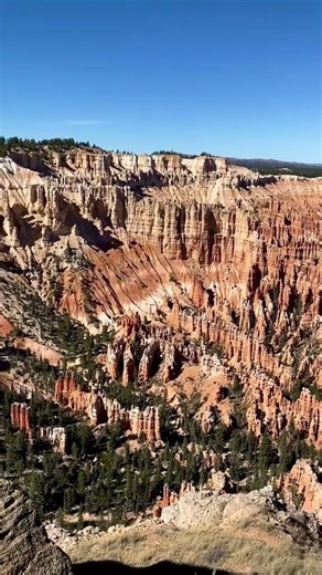 Take me back to this beautiful sight... #Shorts #fitby.elida