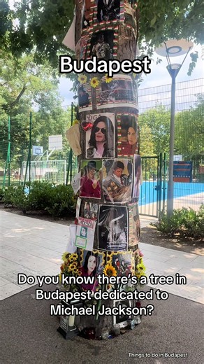 Budapest Do you know there’s a tree in Budapest dedicated to Michael Jackson? The Michael Jackson memorial tree is a unique, special tribute. MJ visited Hungary three times - Once in 1994 to film a video, then twice in 1996, including a HIStory tour concert On each visit he stayed at the Hotel Kempinski, greeting the crowds from his hotel room window. On news of his death, fans decorated the tree outside this hotel and it has remained a memorial ever since. #budapest #budapesthungary #budapestgu
