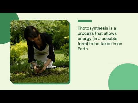 Photosynthesis | Biology | Botany | Plant | #photosynthesis#biology#botany#youtube