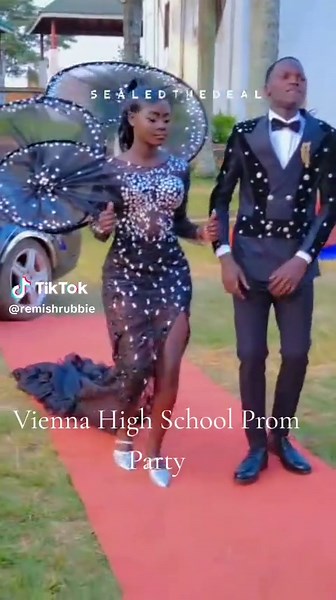 Vienna High School Prom Party Highlights