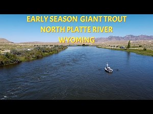 Early Season Giants | North Platte River Wyoming