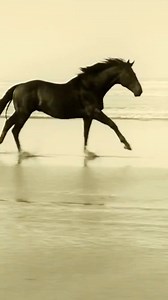 35K views · 1.2K reactions | You hold the power to create a world that inspires and uplifts. Dare to dream, dare to create, let your imagination run wild! | Emma Massingale | Facebook