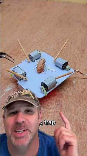Homemade bug trap! #bug #bugtrap #diy