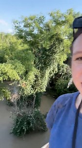 [6/13/2025] Wilson County News Reporter Rachel Draper provides a look at the rising waters of the San Antonio River at Floresville City Park on SH 97 June 13, 2025. The City of Floresville has closed the lower portion of the park as waters rise quickly. https://wilsoncountynews.com | Wilson County News