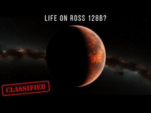 Life on Ross 128b: A Rocky World Beyond Our Sun