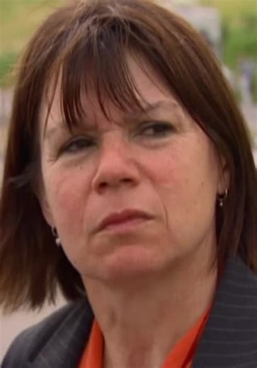 Extreme Engineering S02:E08 - Milau Viaduct