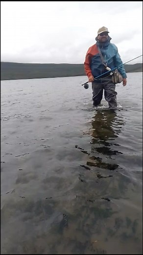 Así es la pesca!! Quien diga que nunca le pasó, que tire la primer piedra jaja | Yuk Bug Flyfishing