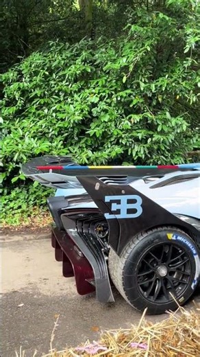 BUGATTI V12 CAR SHOW #automobile #shorts