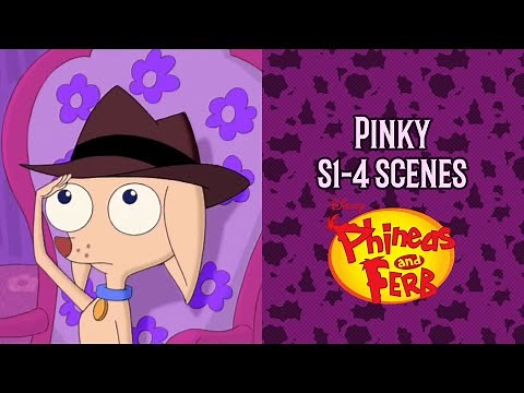 Phineas and Ferb - Pinky the Chihuahua scenes (s1-4)