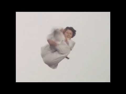 Female Vs Male Karate Fight Scene