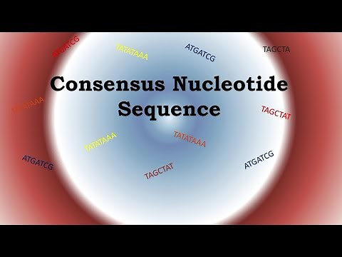 Consensus sequence | consensus nucleotide sequence in E.coli explained|
