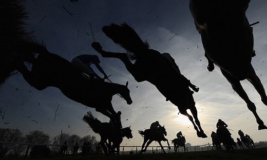 Comedy Of Errors | Top Horses | Career Highlights | Timeform