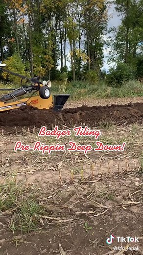 Pre-Ripping before plowing in 2000ft of 8” pipe#badgertile #draintile #caseih #tileplow #tilework
