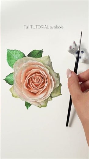 how to paint a rose with watercolor