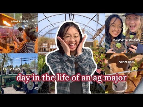 Day in the Life of an Ag Major