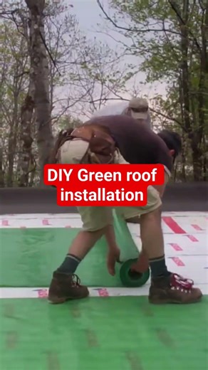 Interested in Green Roofs? Watch a full install free below👇#greenroof #howto #freetutorial #ecohome