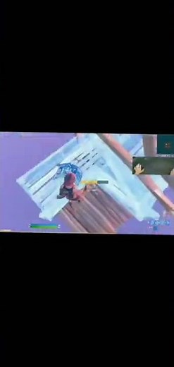 Fortnite Player in 2055..