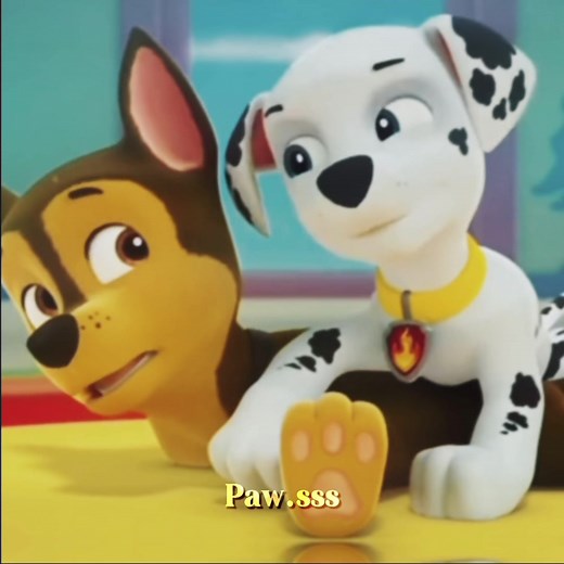 Marshall x Chase #pawpatrol #pawpatroltiktok #pawpatroledit #pawpatroledits #chasexmarshall #marshallxchase #dontask #dontaskplease #viral #whenyougoawayistillseeyou #virall