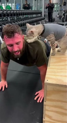 Cat Trainer Goes FULL RAGE MODE