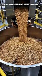 Peanut Factory Process: From Farm to Packets | How Peanuts Are Made