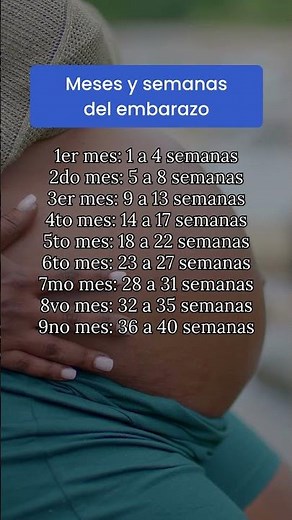 Meses y semanas del embarazo
