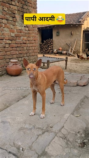 पापी आदमी #funny #thetharpuns #bhojpuriyathethar #comedy